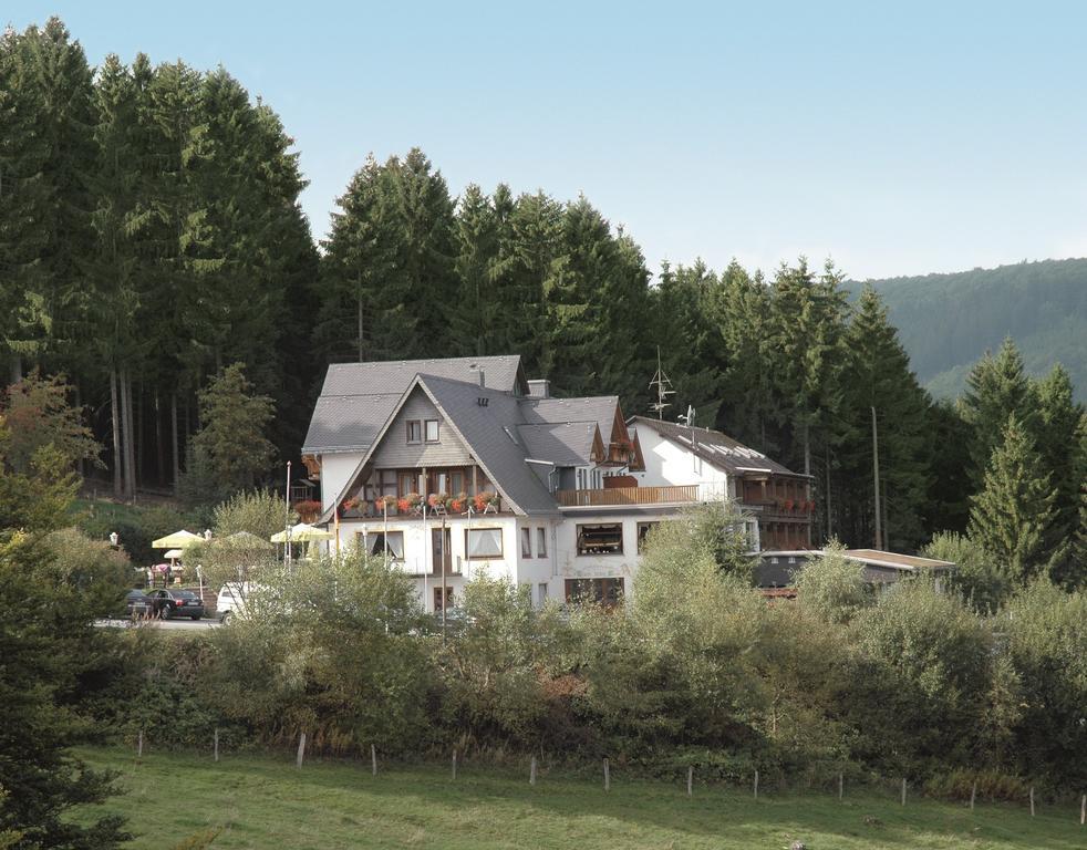 Wald Hotel Willingen Willingen  Extérieur photo